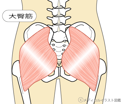 坐骨神経痛