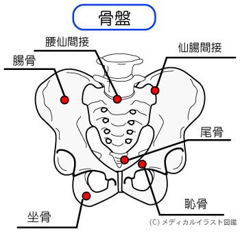 産後の骨盤矯正