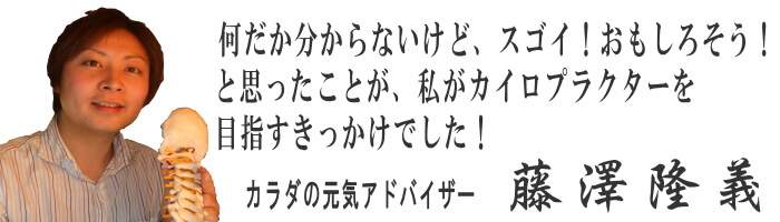 どんな人?