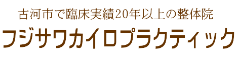 フジサワカイロプラクティック | 古河市で臨床実績20年以上の整体・カイロ