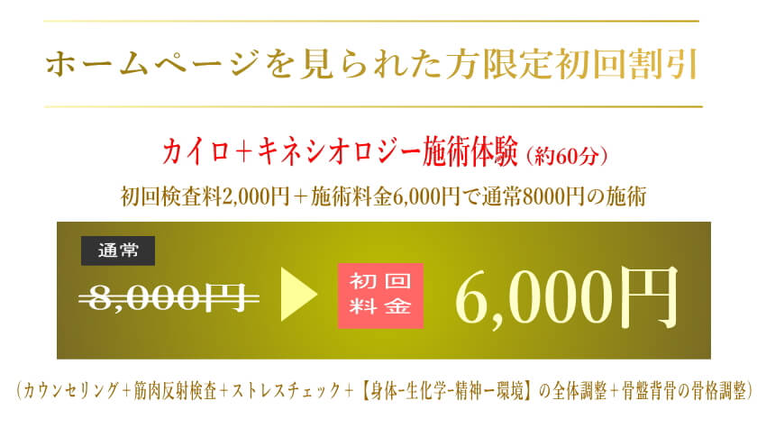 フジサワカイロプラクティック ホームページ割引